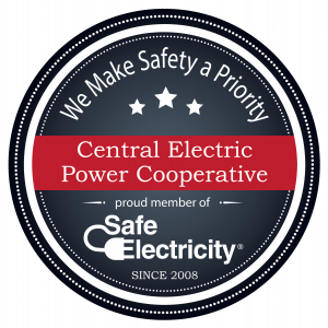 Central Electric Power Cooperative 2008 - Proud SE Member Badge.png